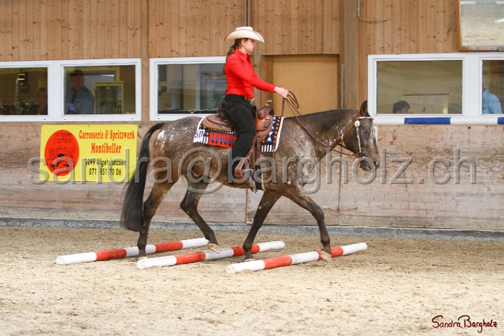 26-ApHC GT_169.jpg
